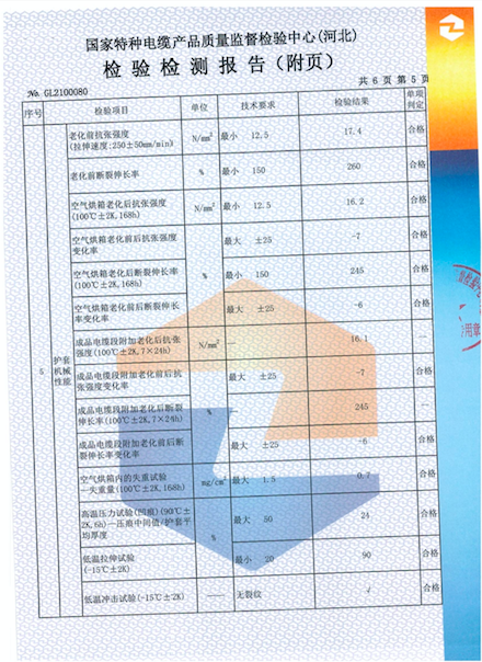 檢測報告