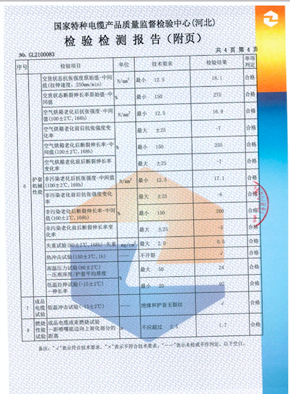 檢測報告